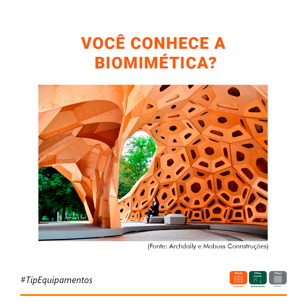 Você conhece a Biomimética? 